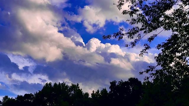 @Noel💜🧡🤘🏼⛈️☀️🌊🌺🐾