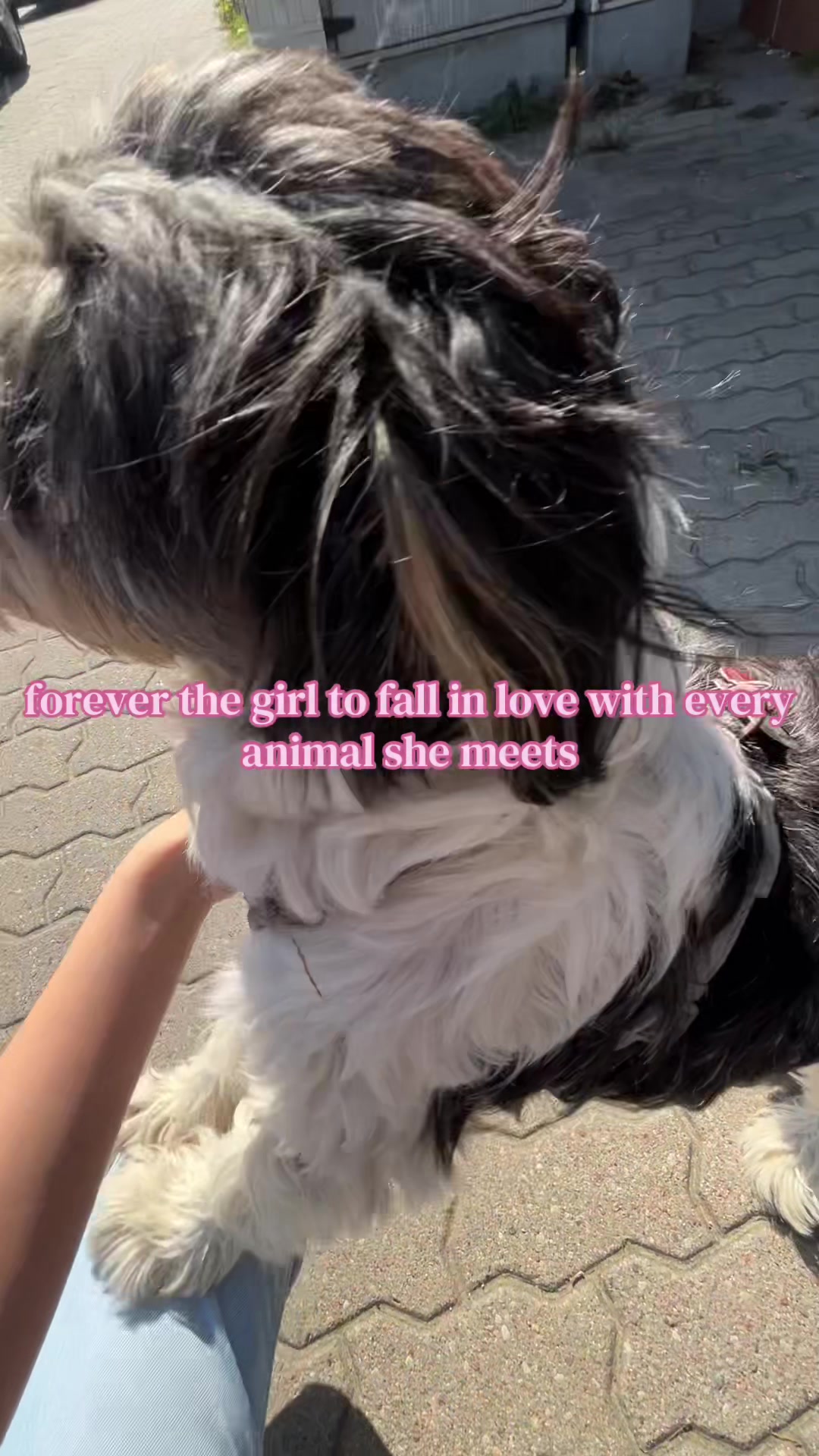 @magdaaa🕷️🧸