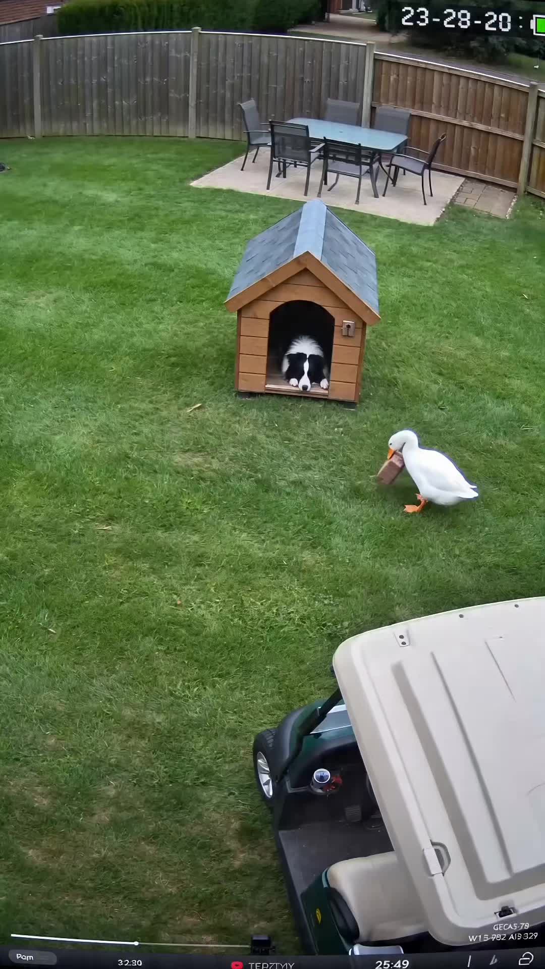 @Goosebombs
