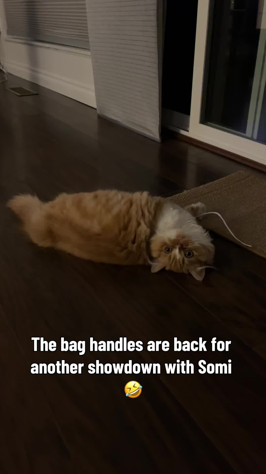 @somithepersian