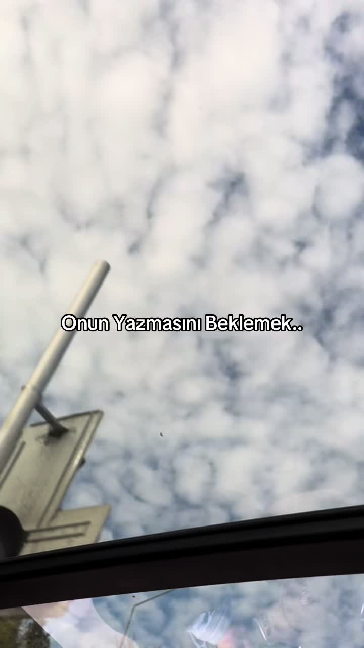 @talışgirl