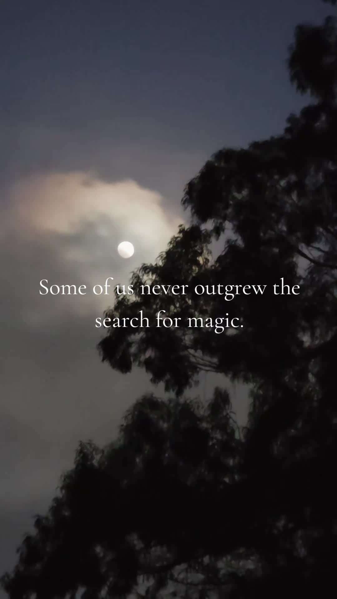 @Augustembersdesigns