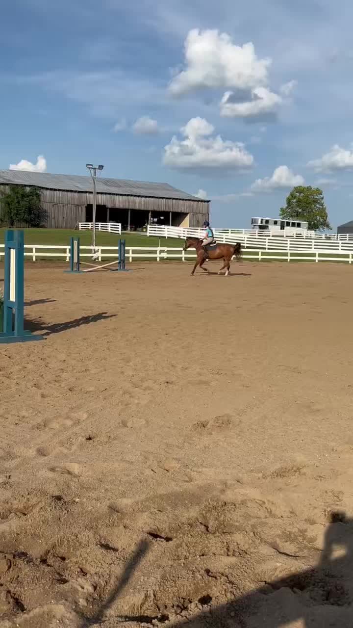@Eleanor.eq