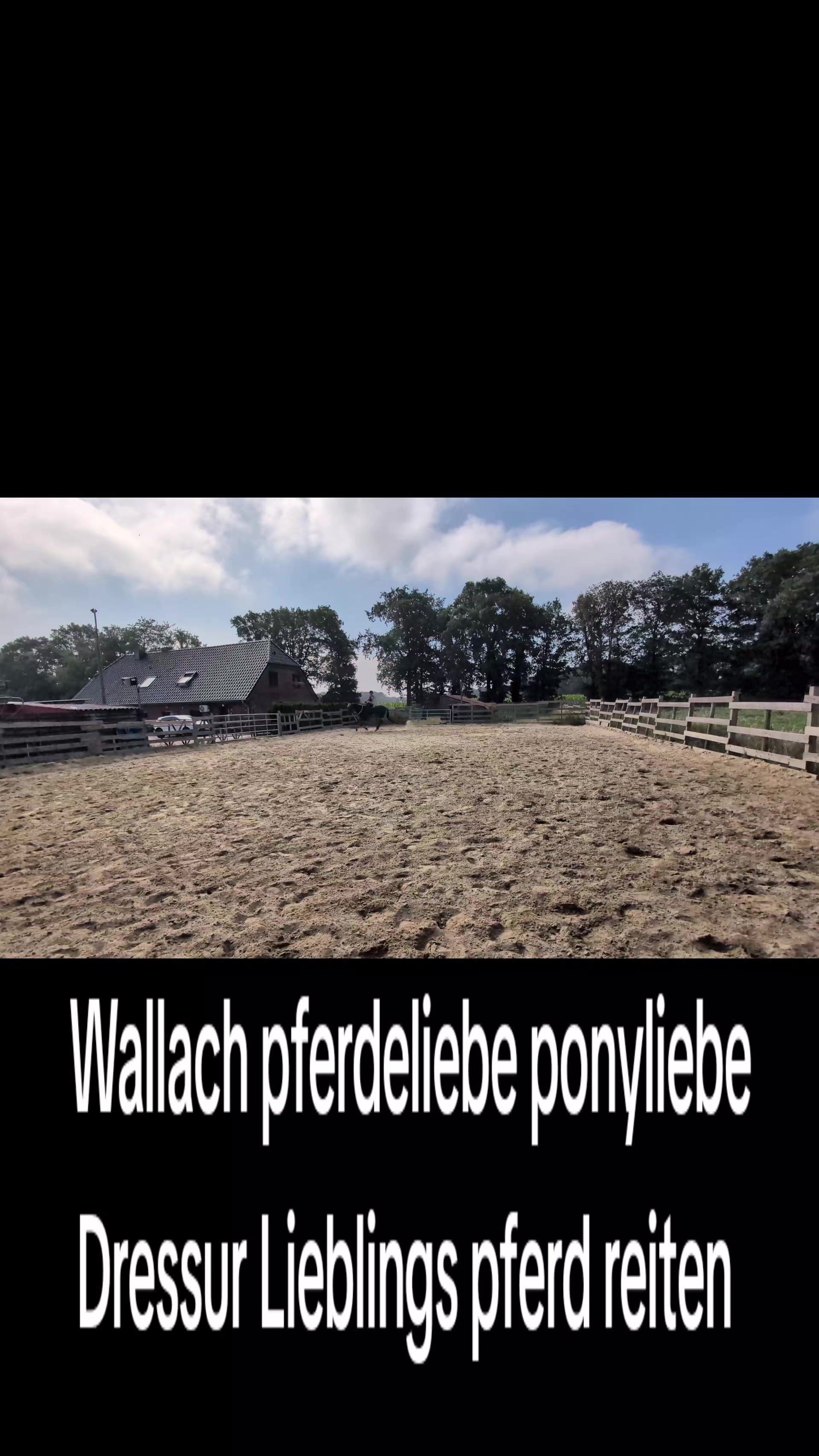 @Steffis_horse_world