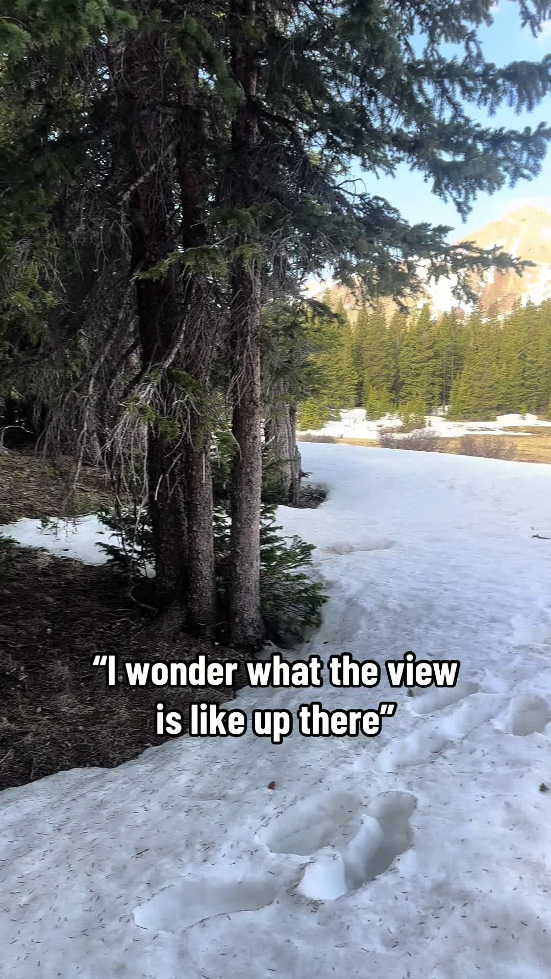 @Moose