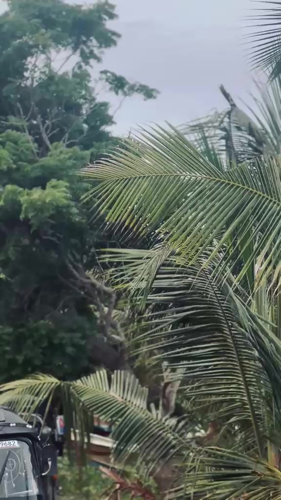 @_ D_i_n_e_t_h