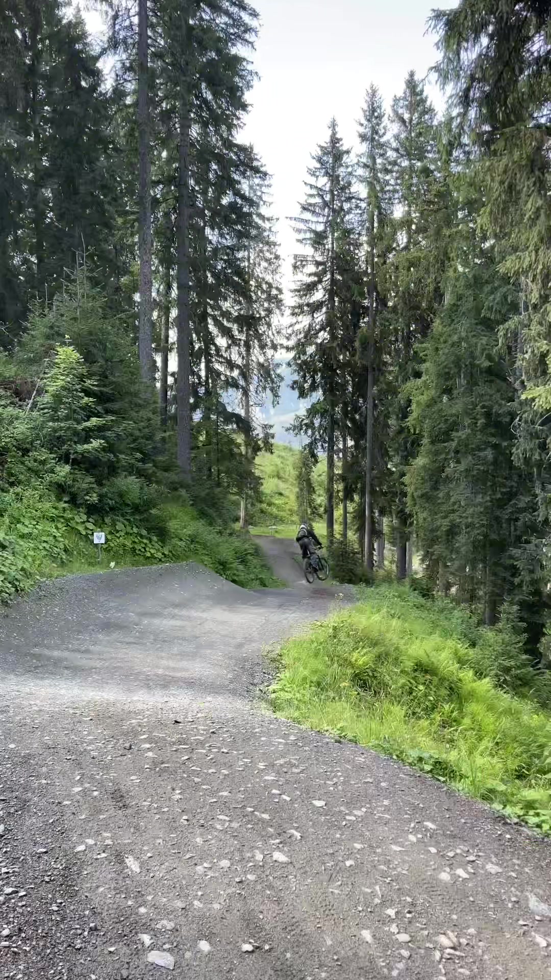 @🌲Freeride_Paul🌲