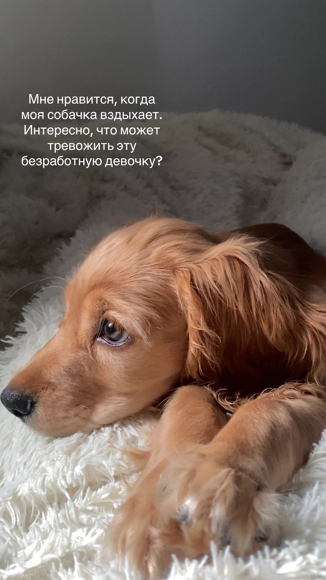 @Darina