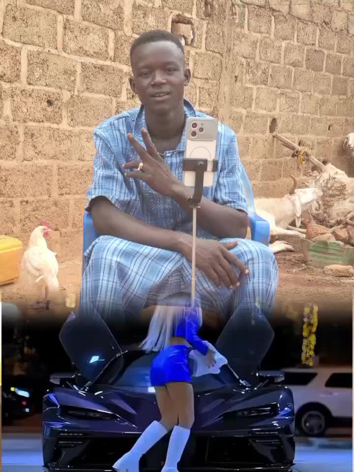 @petit boss6