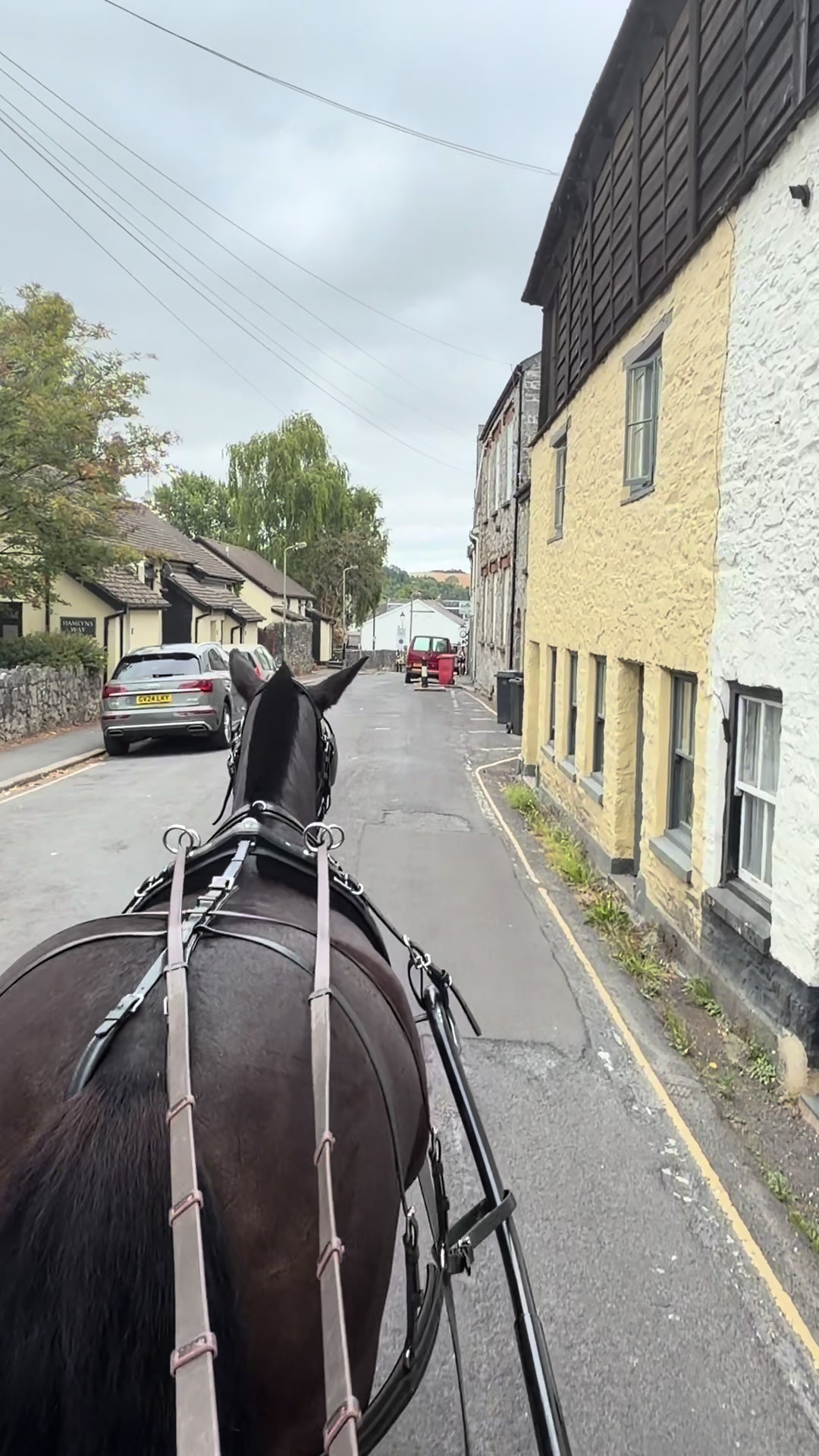 @Dartmoor Carriages