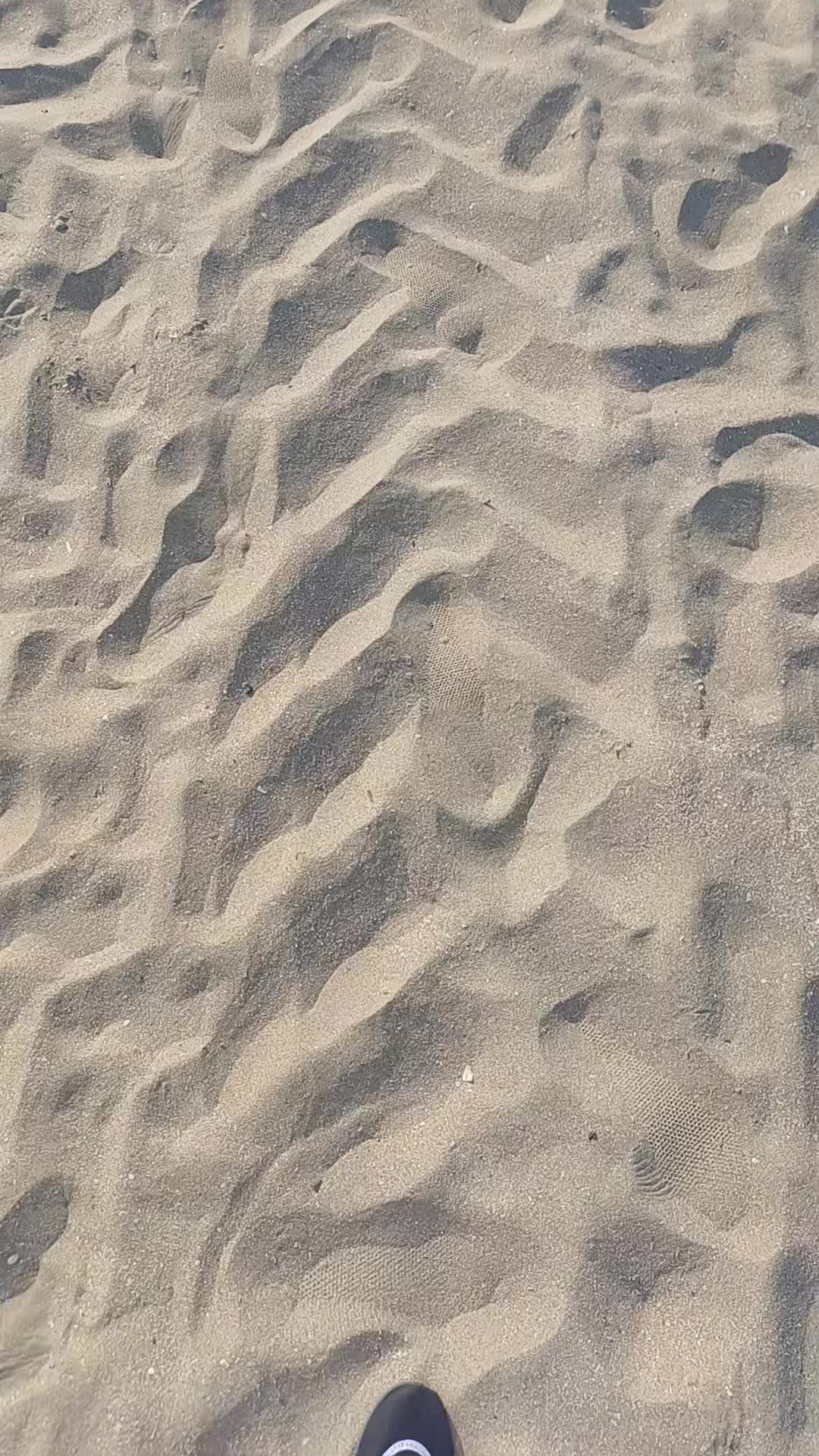 @veronicaleconiuc