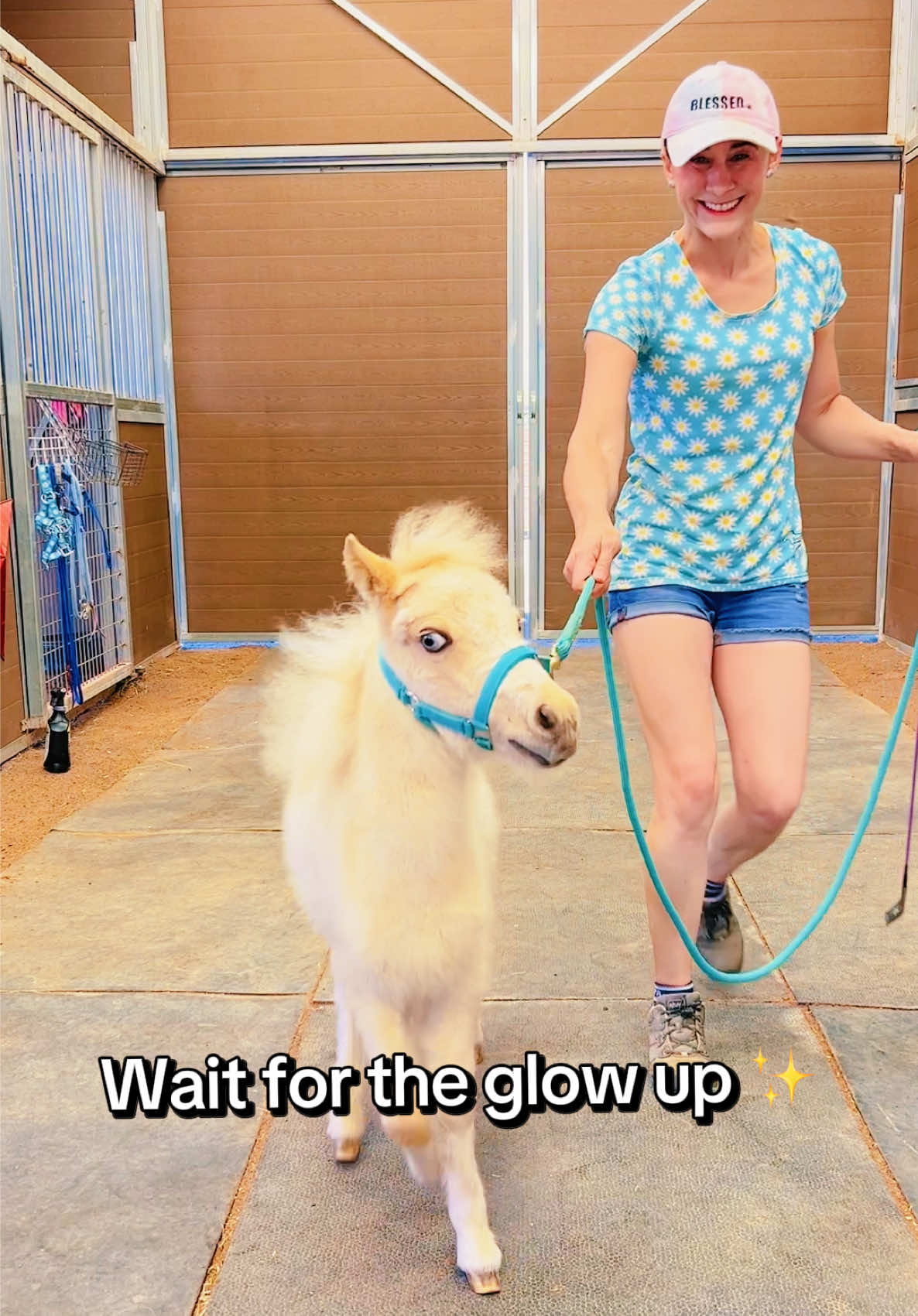 @Star Point Horsemanship