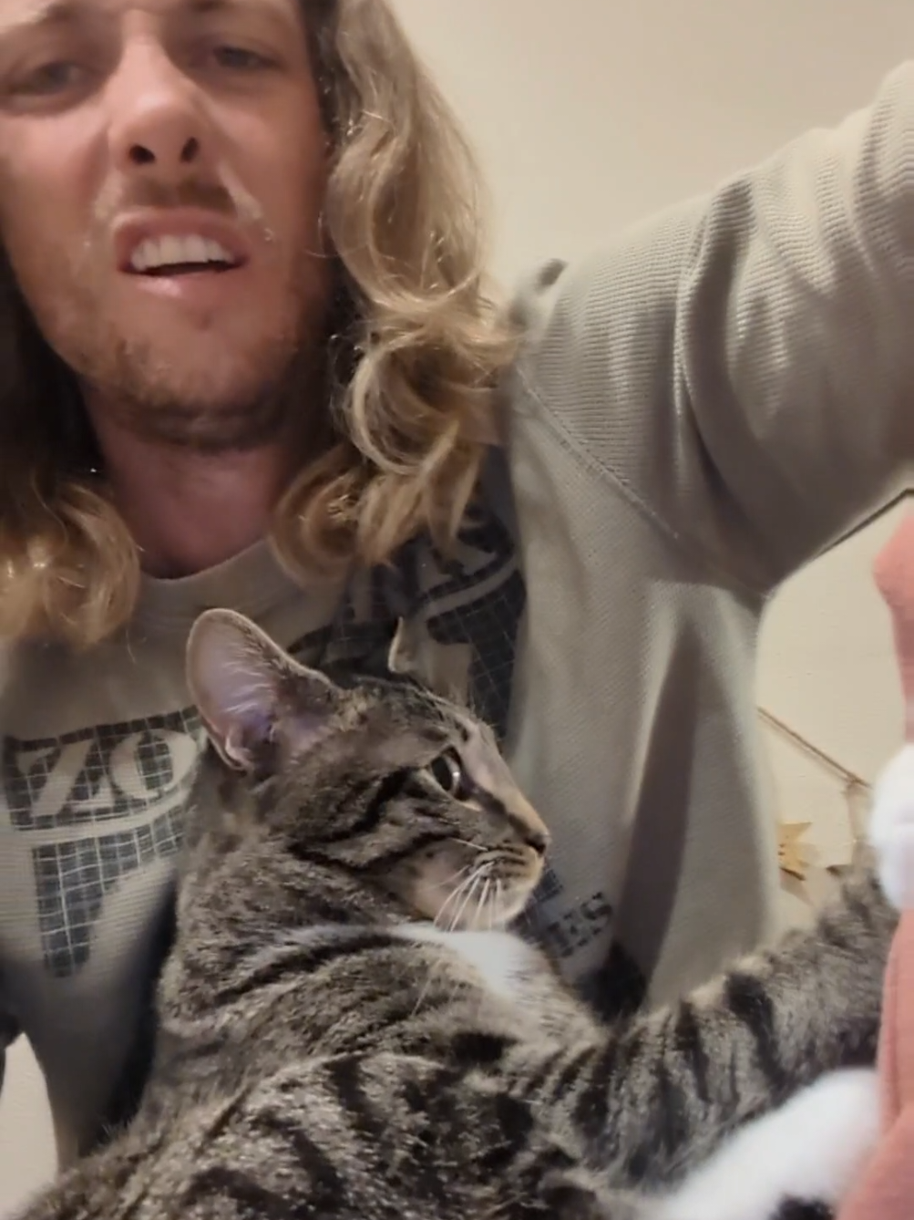 @Rainy the Cat