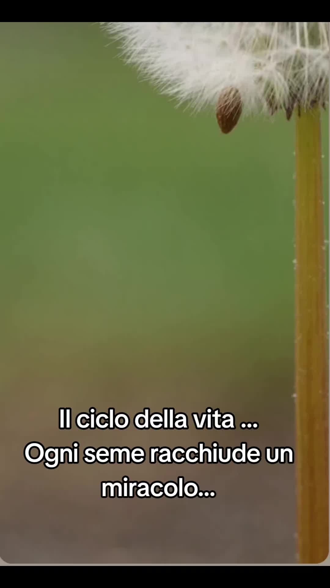@Eleonora