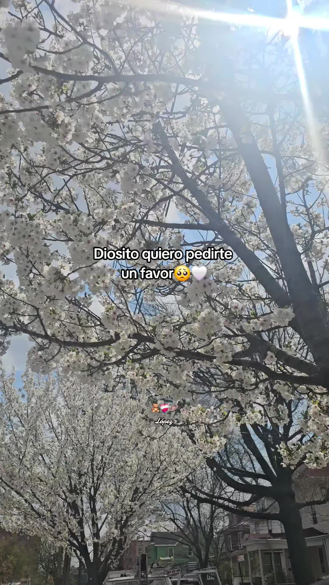 @💫