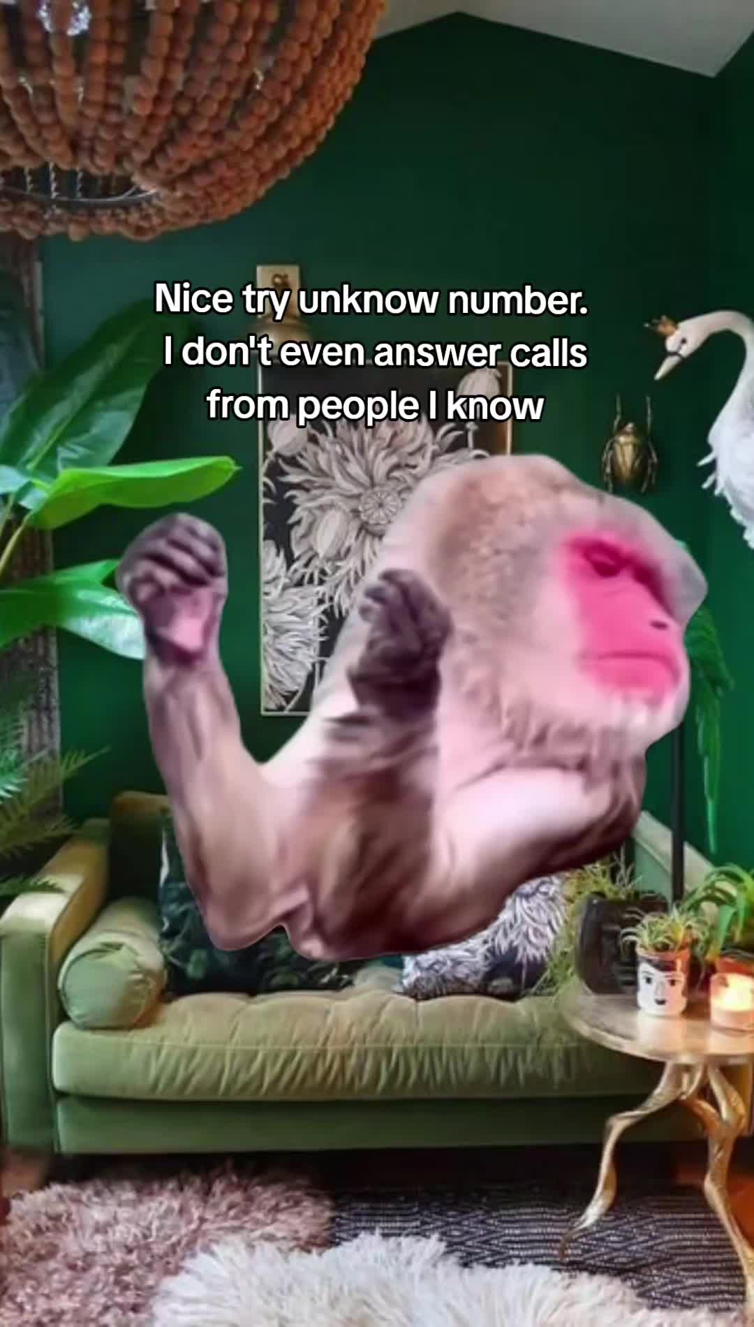 @Julie 👑