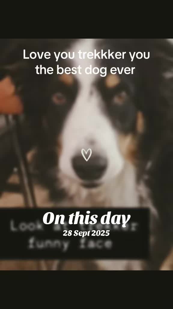@Zoezarembaevans(mainaccount)