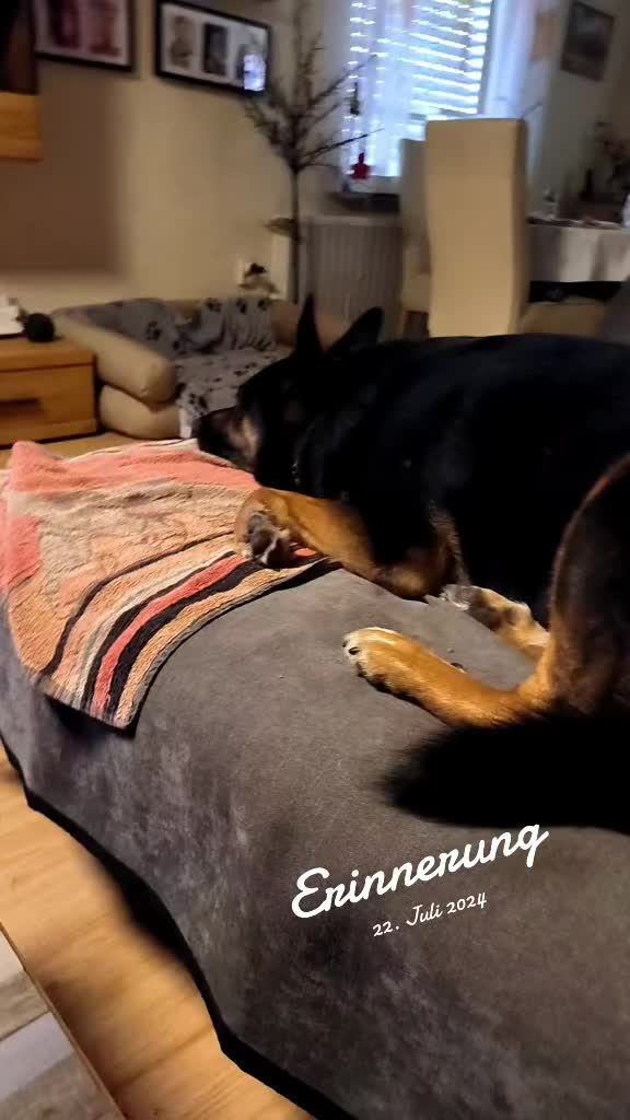 @mamak&auml;fer