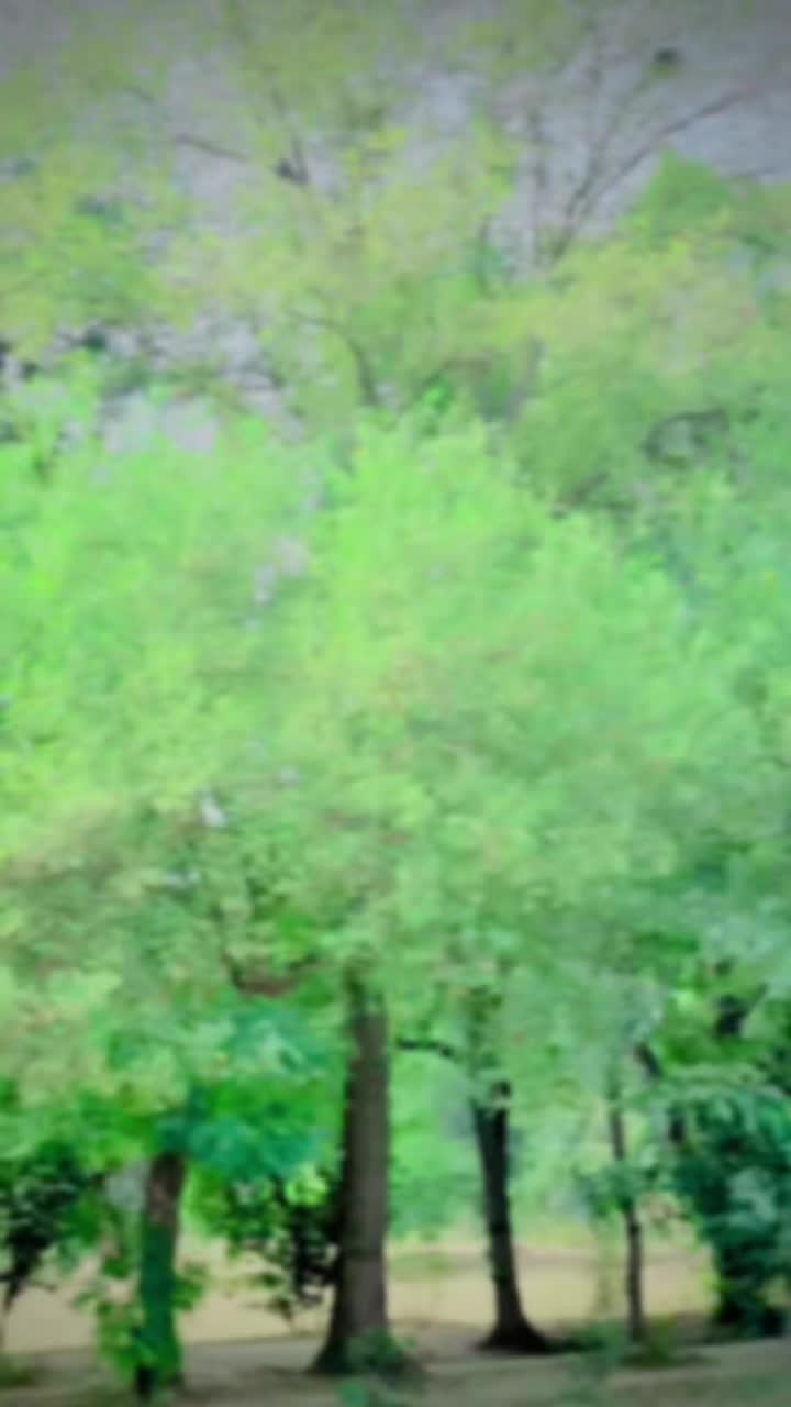 @𓆩 شیخ صائم 𓆪