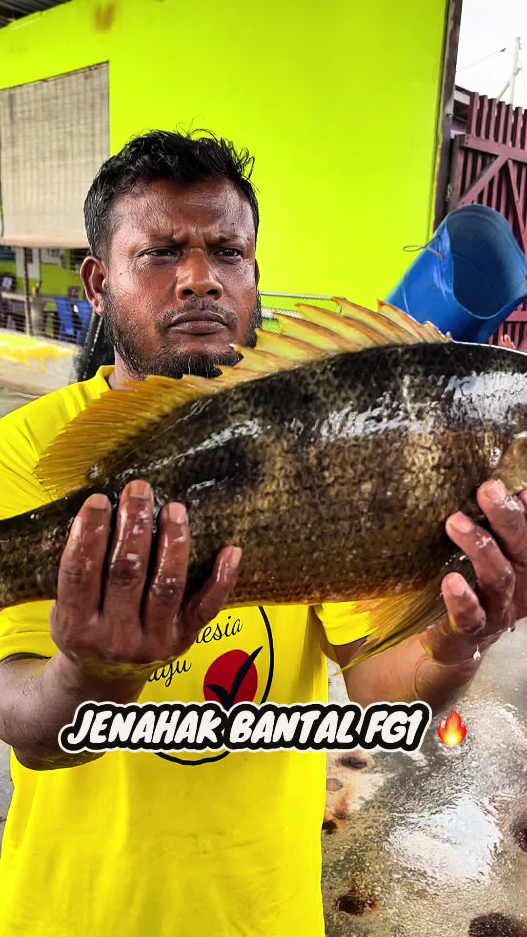 @M Z Reel 🎣