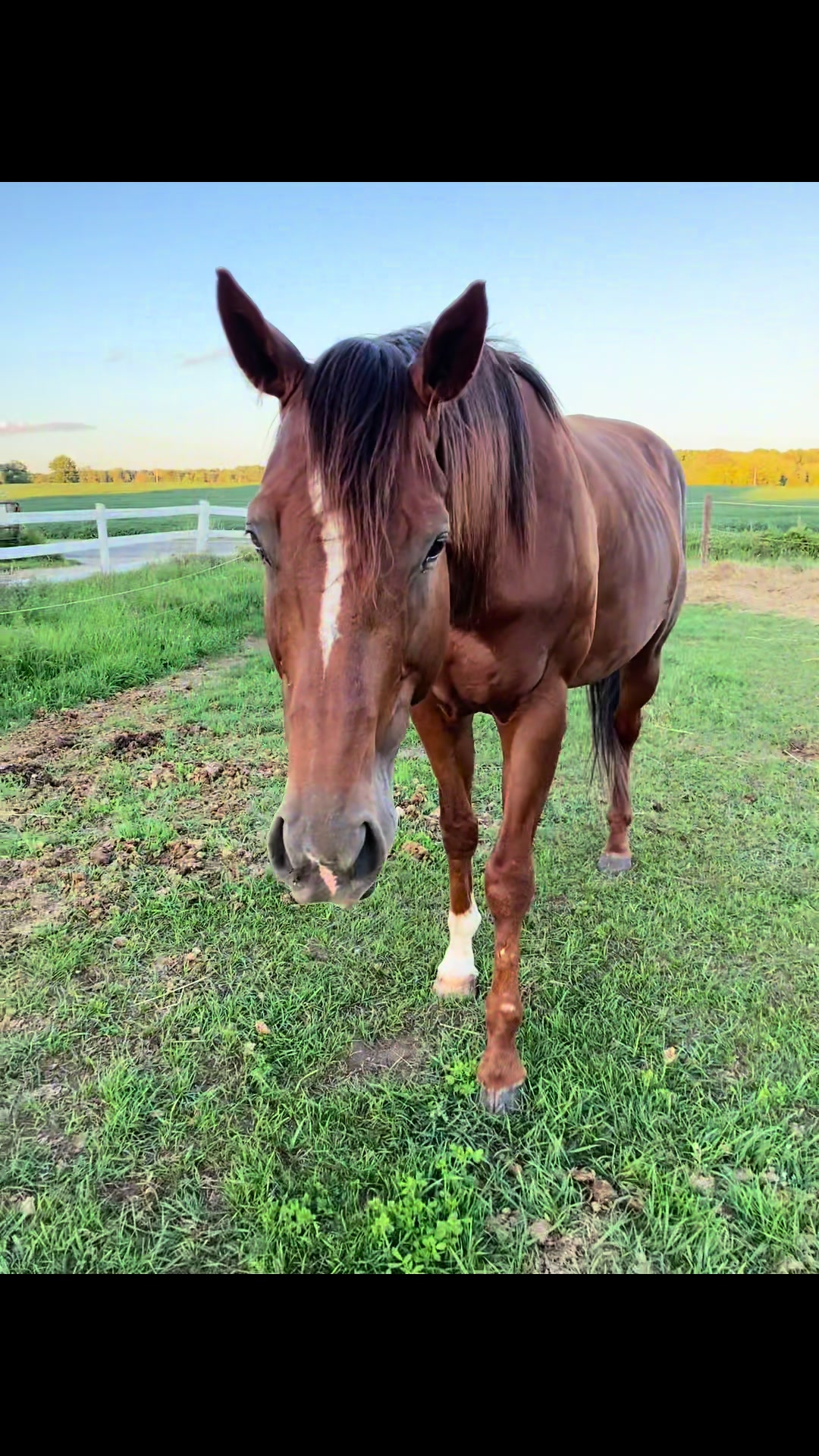 @eastwood_homestead