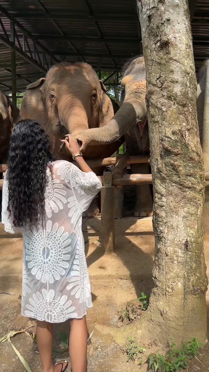 @Evegotcurlzz🌸🐆