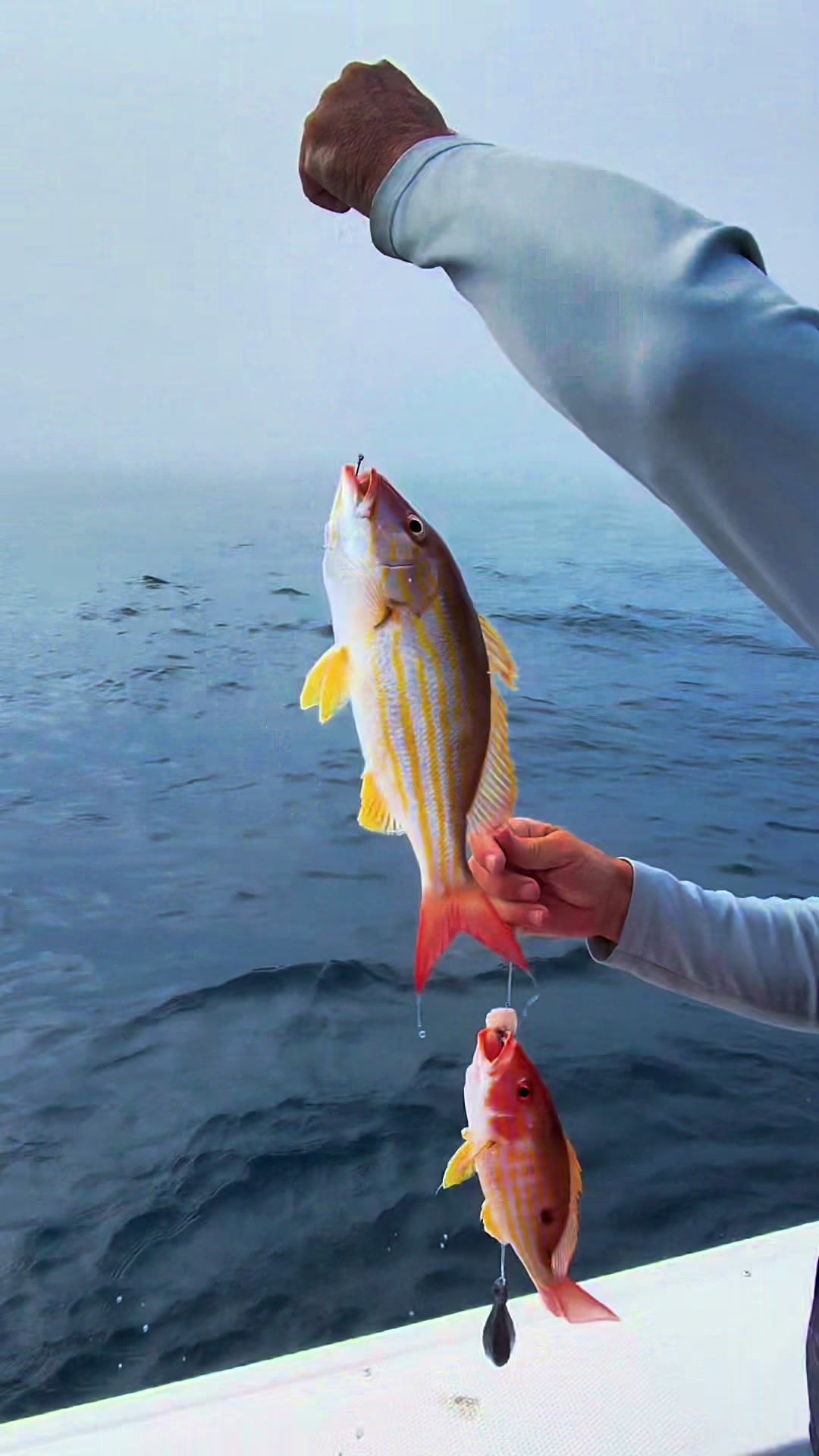 @Trigger Rich Fishing Charters