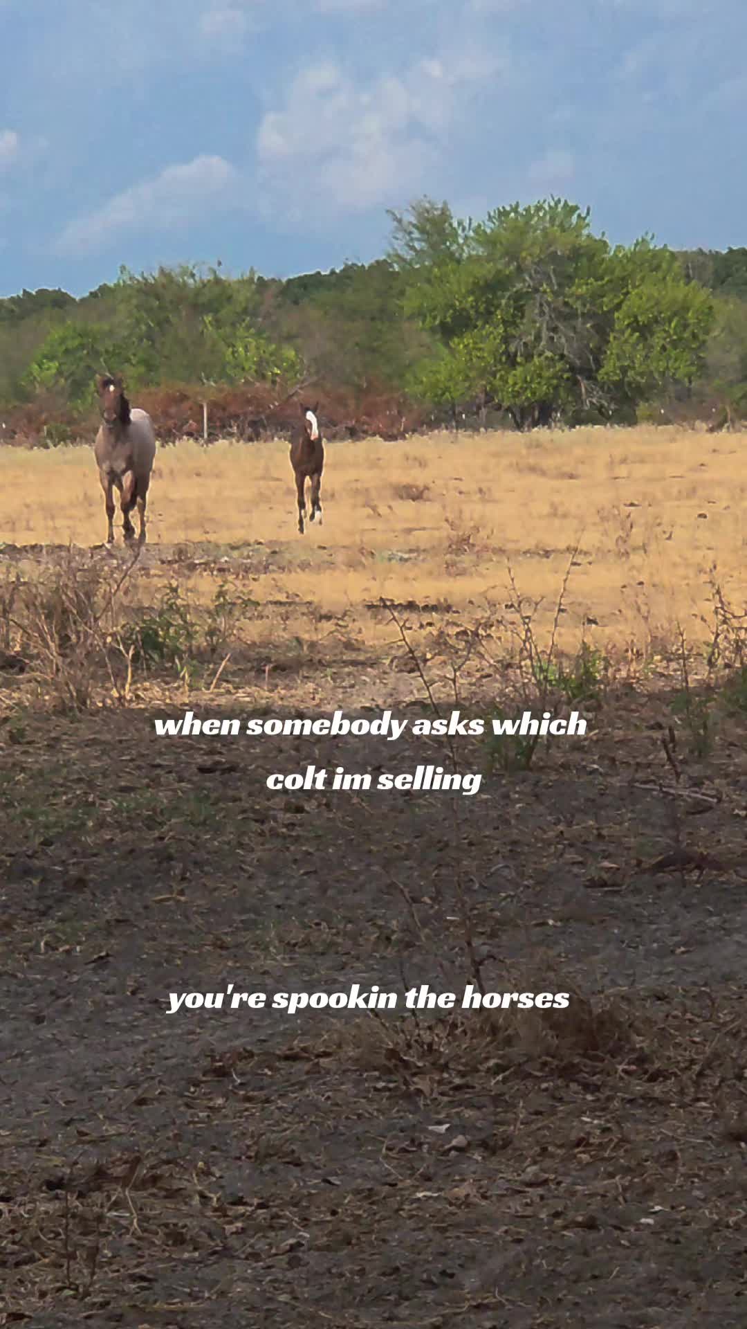 @Sabrina