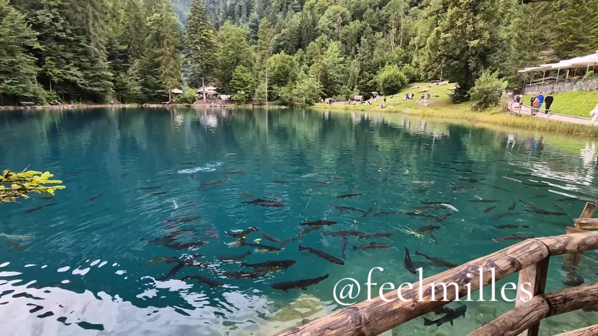 @FeelMilles