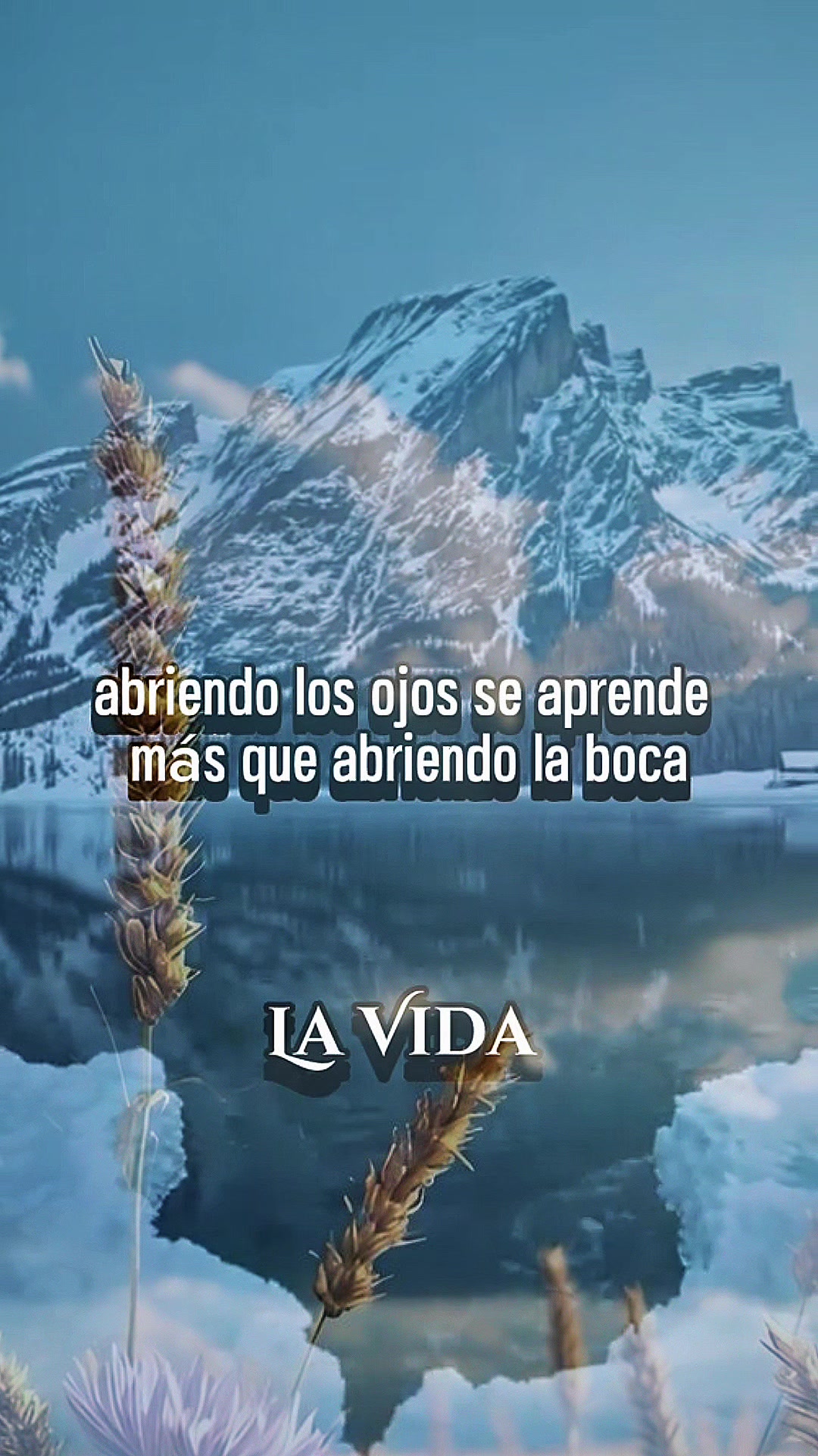 @Miranda