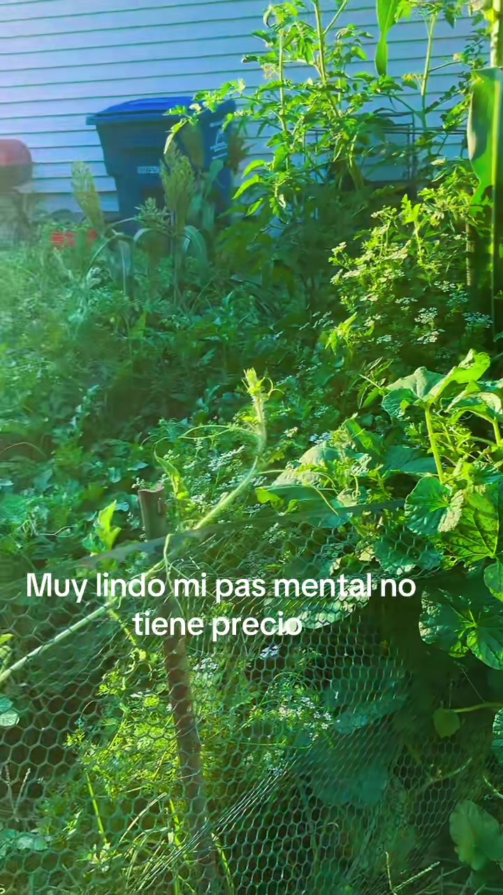 @Verónica Berganza
