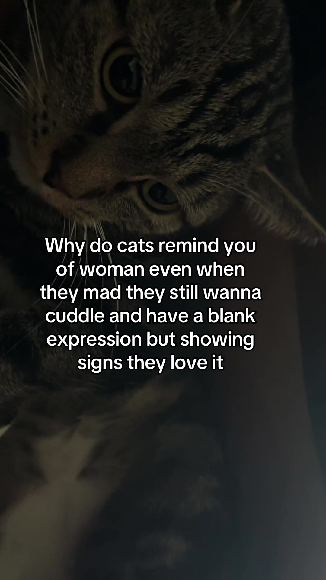 @babyboy