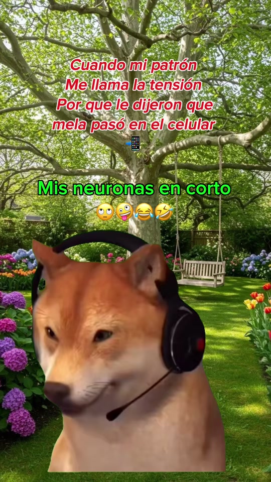 @💞 Paloma Rodriguez 🇲🇽