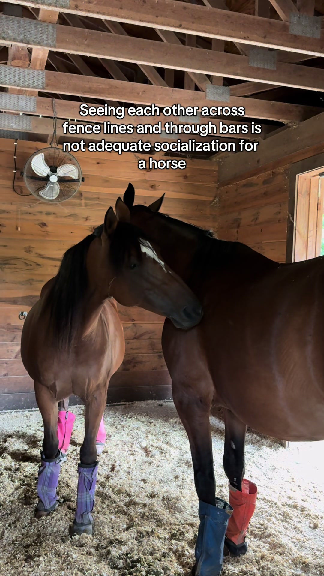 @Equi Evolution