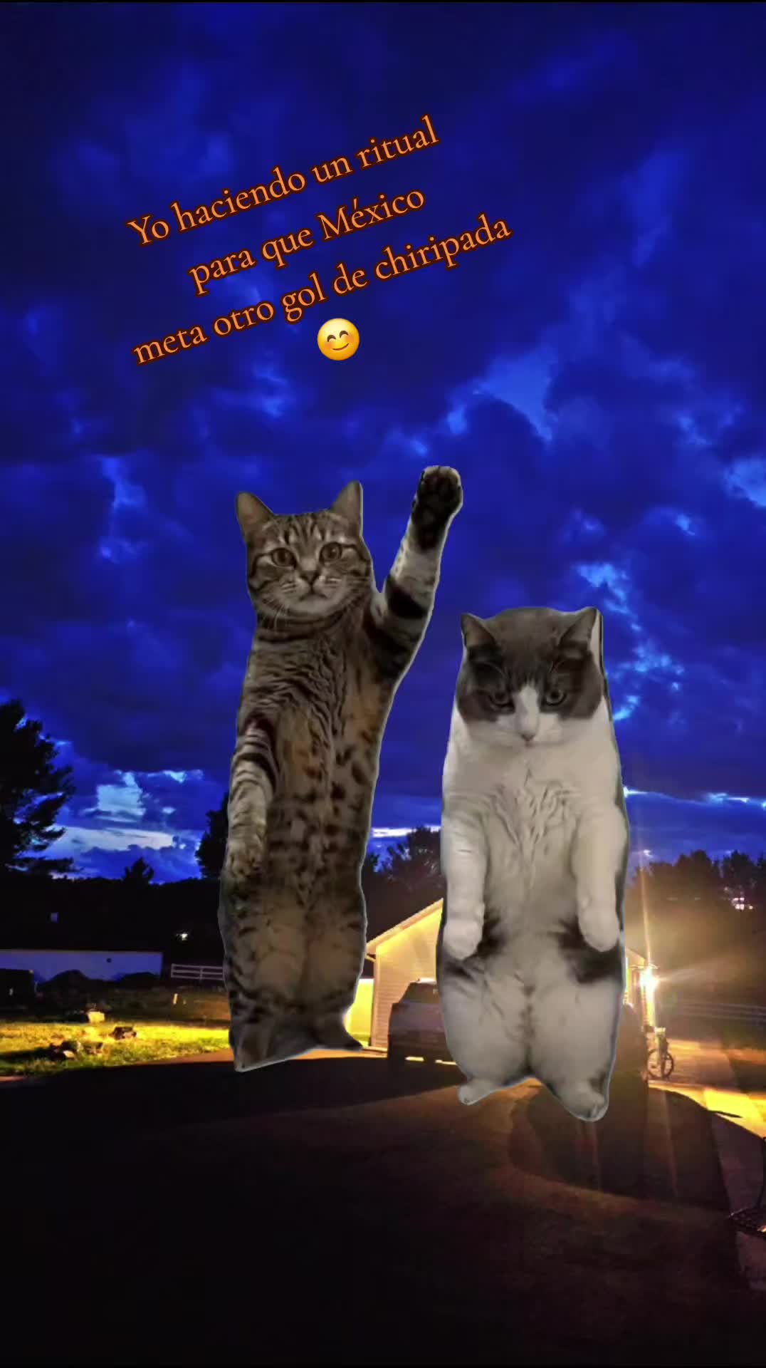 @🇲🇽Guli.Carrada 🐈&zwj;⬛