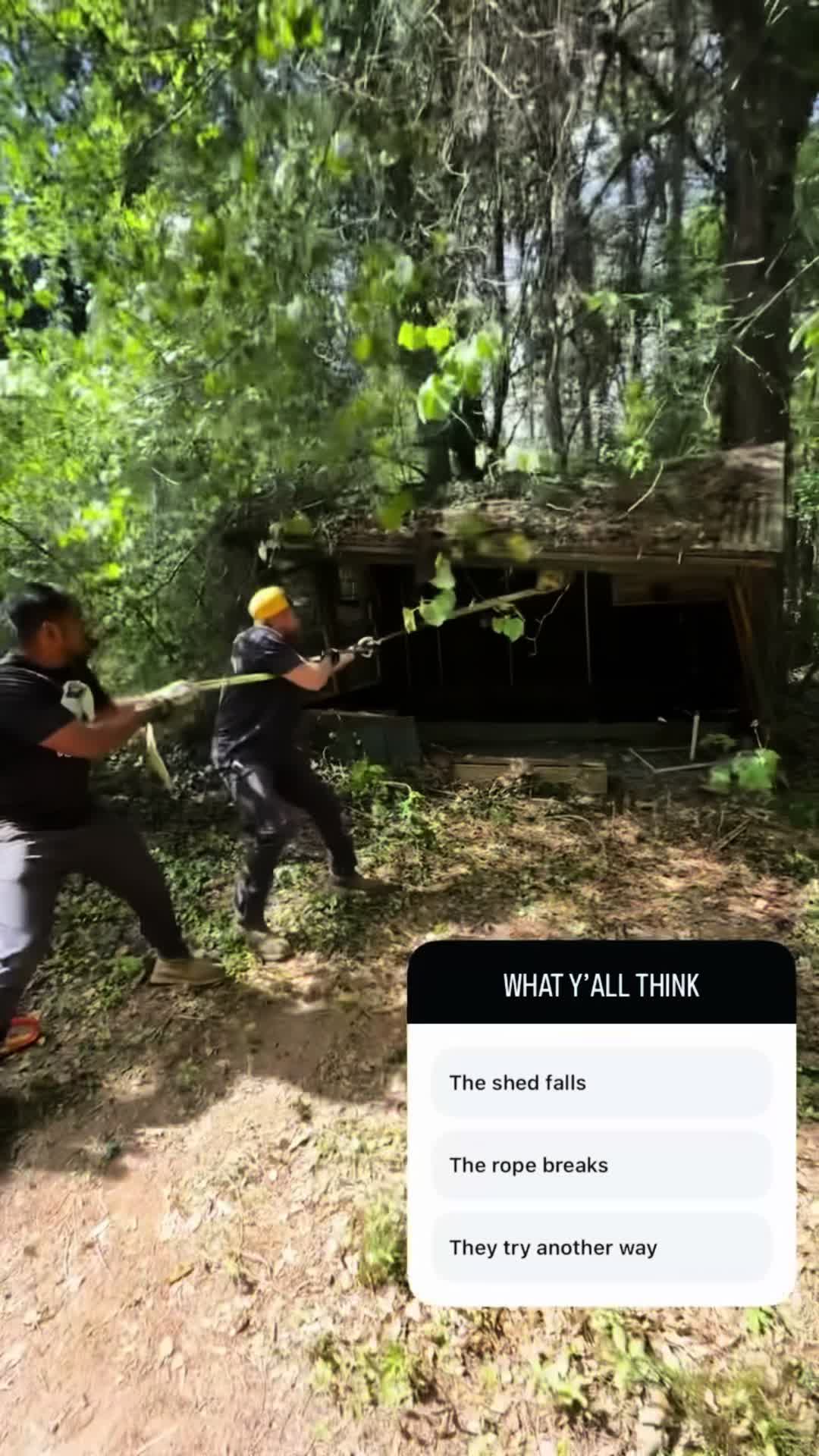 @moveitjunknc