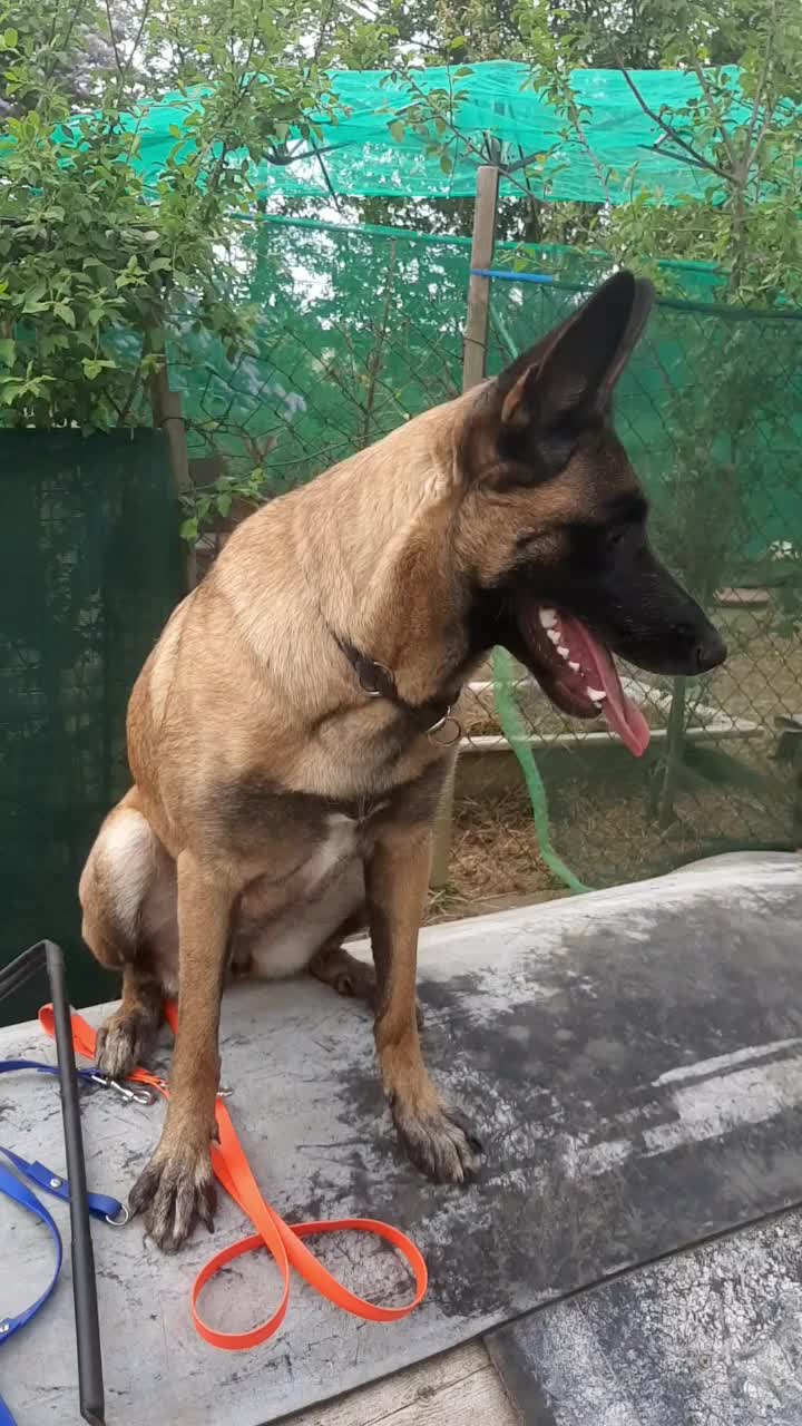 @Malinoirist Bootcamp