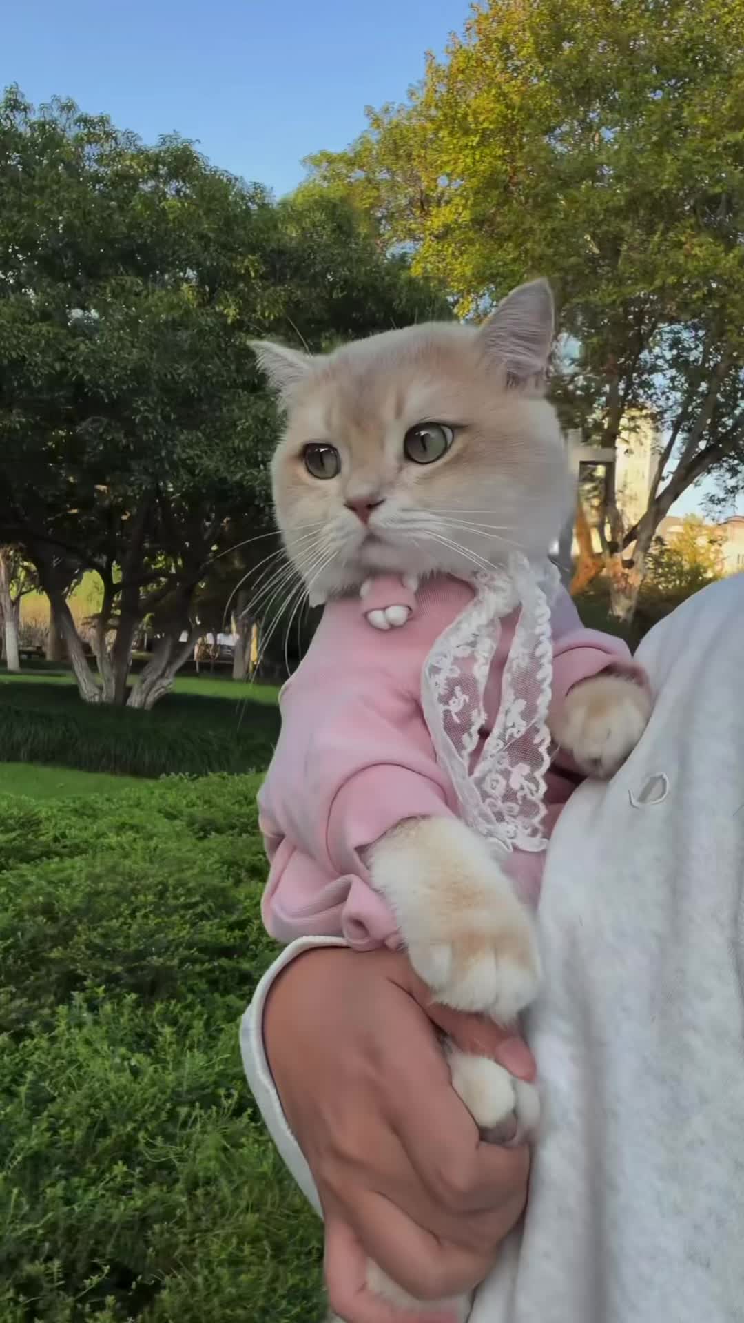 @My Daily Dose of Aww