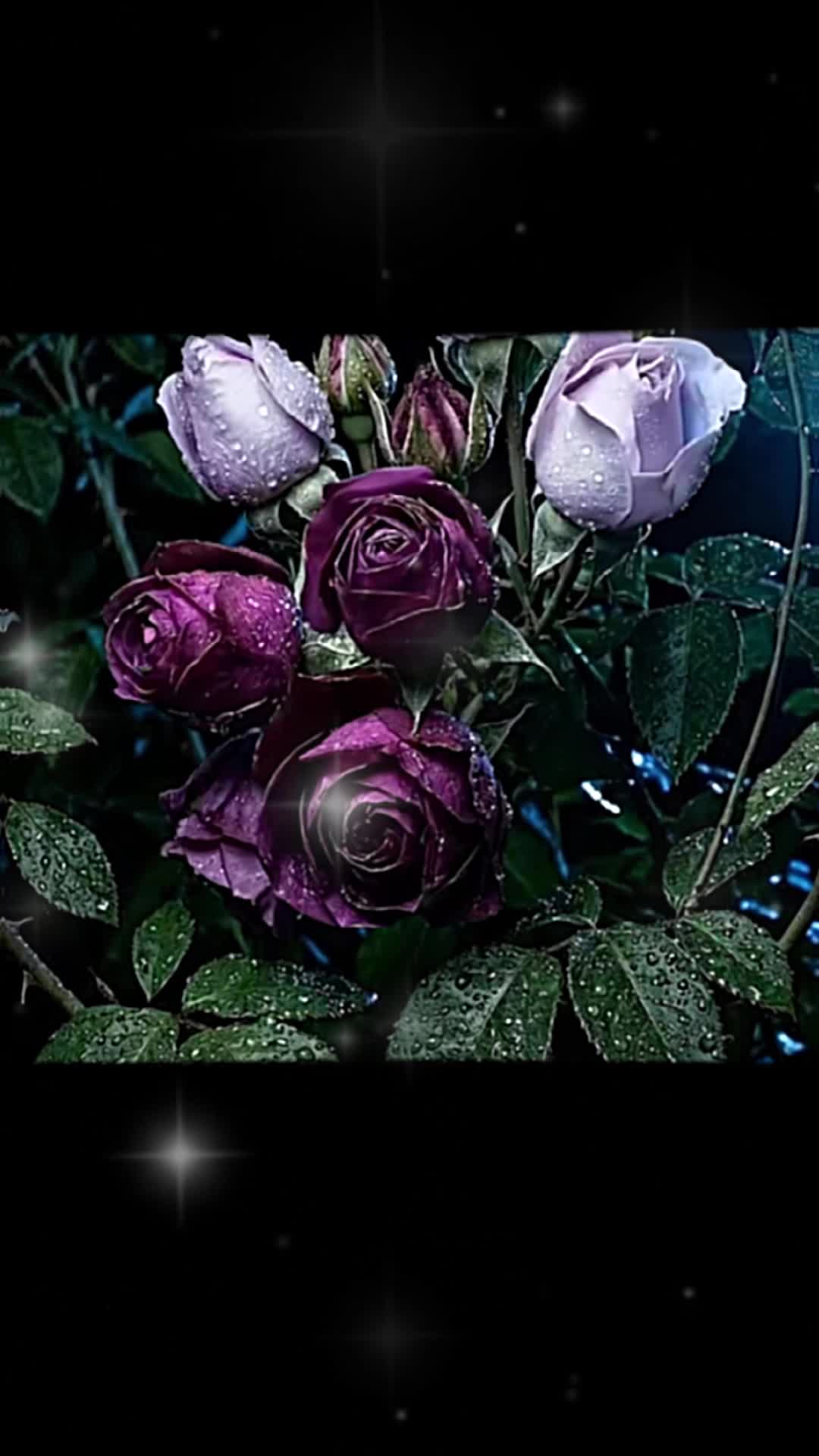 @francojjji