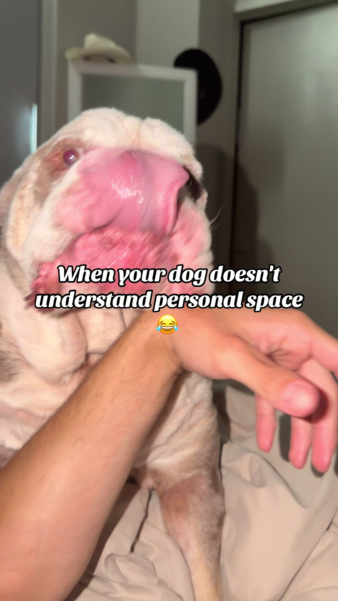 @dr.mvmnt