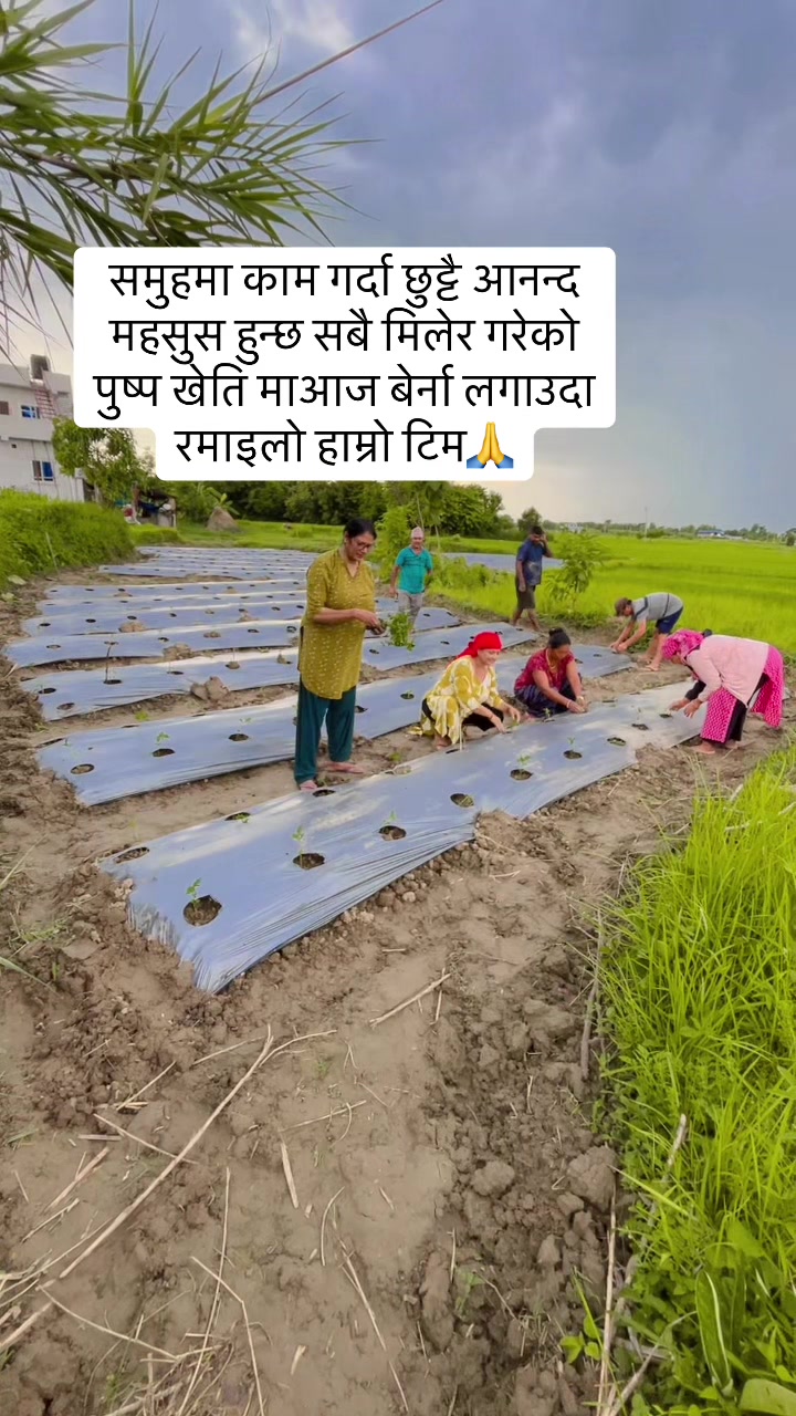@Yashoda kharel