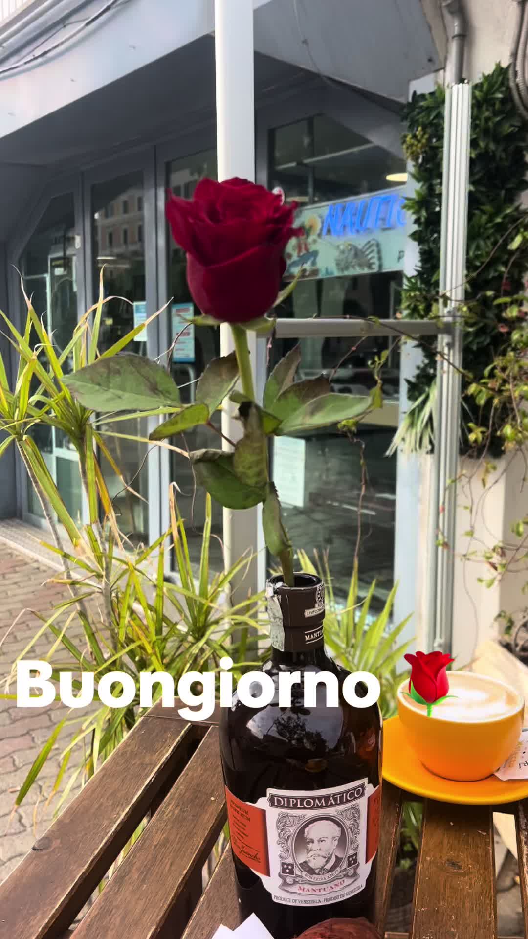 @Luna chiena