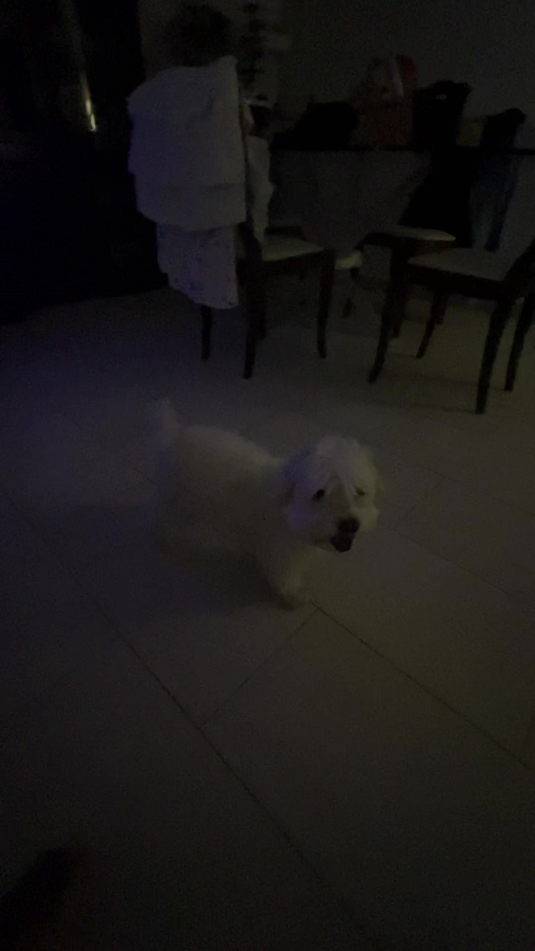 @GinoPinoPinoGino