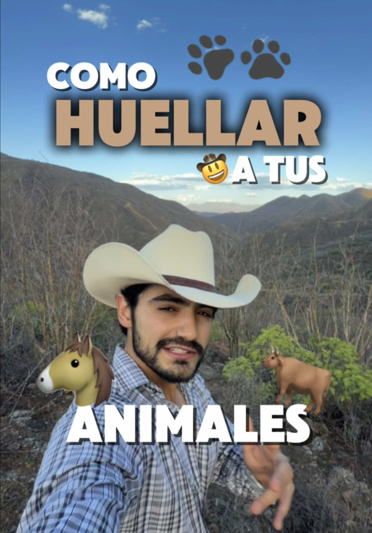 @Alejandro Molina