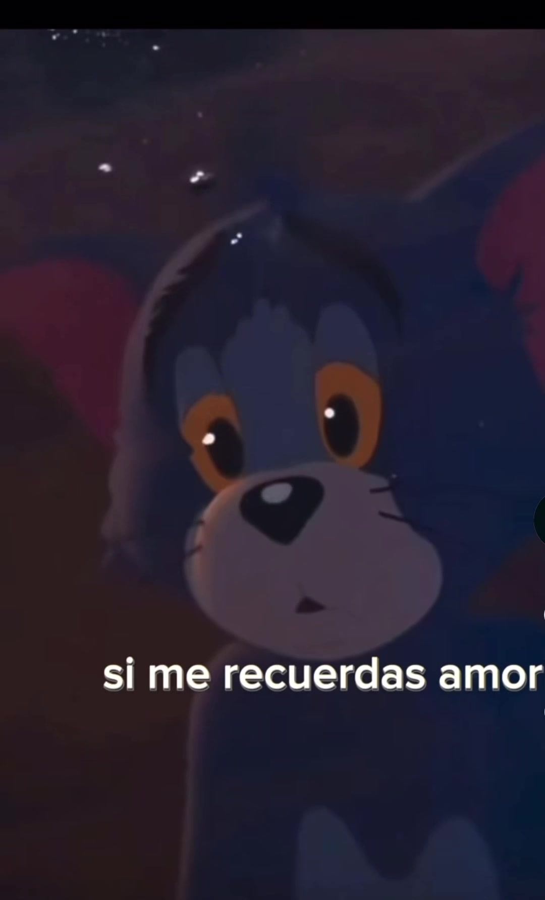 @🐄 Tus 🐻faboritas58🧸 🐎