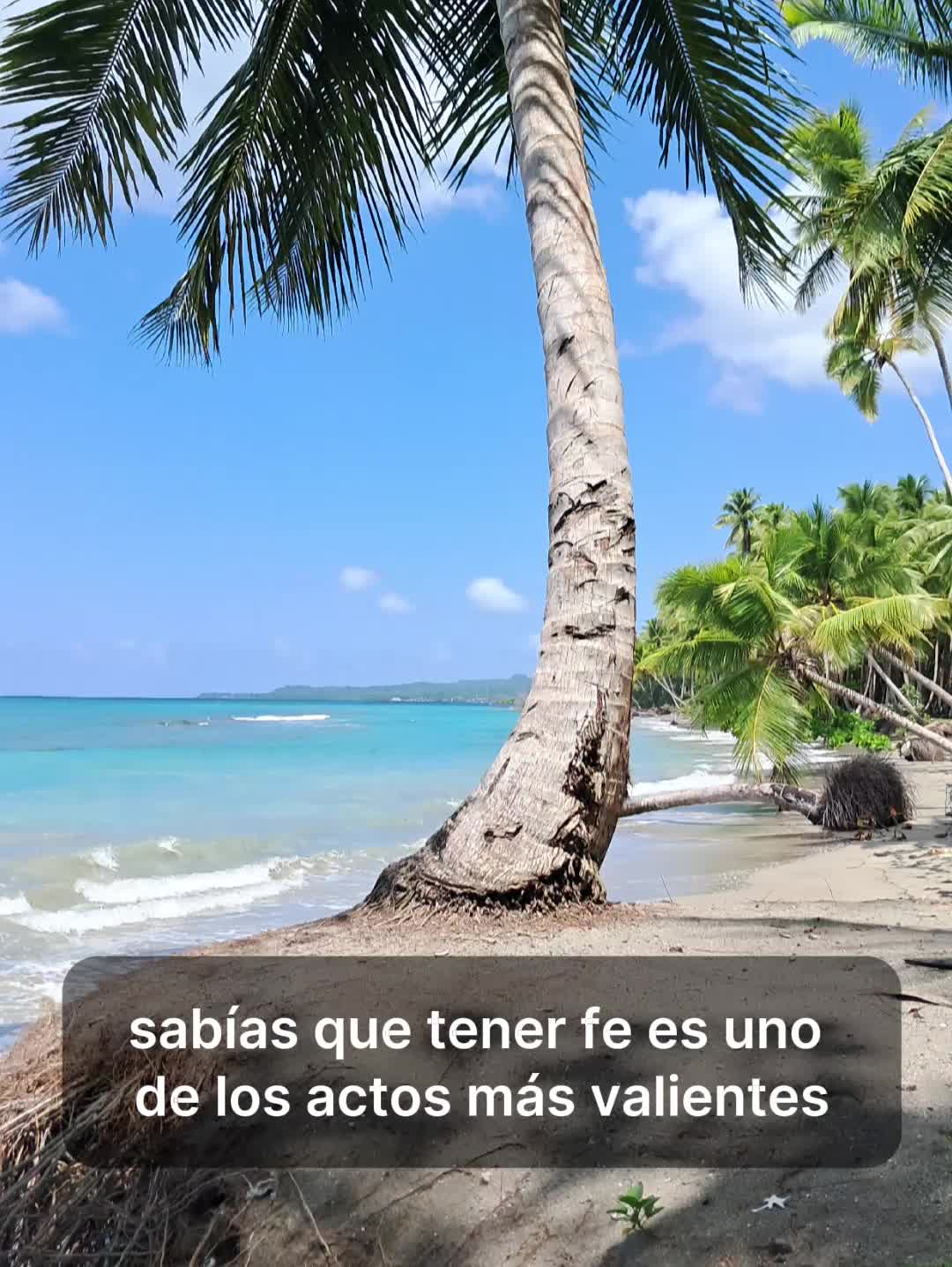 @Celina Clarke amo mi 🇩🇴🇩🇴