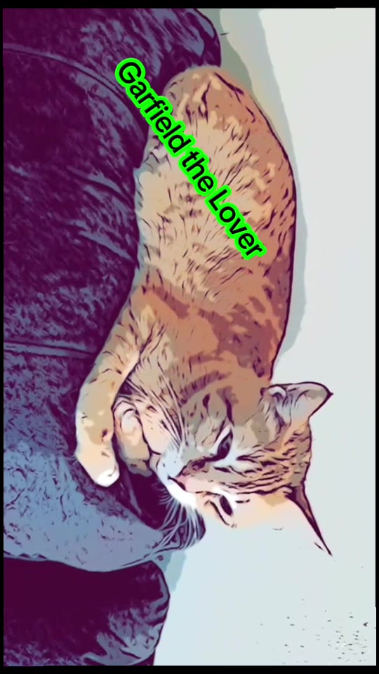 @Father5cats