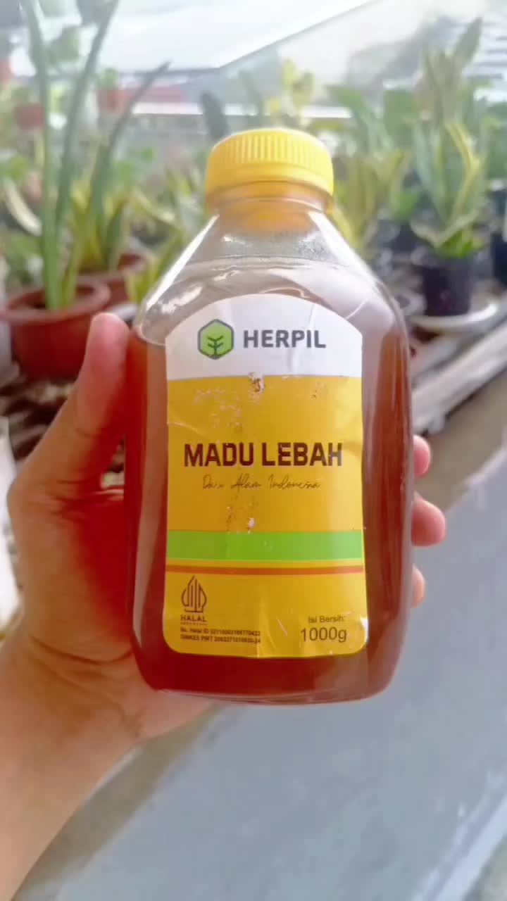 @Bakulgeulis02