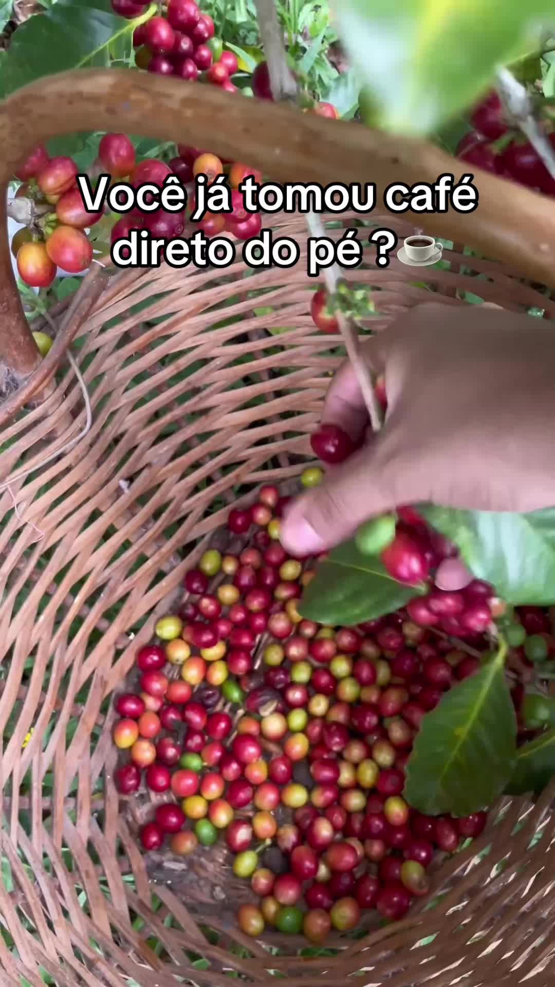 @Cidadenatureza
