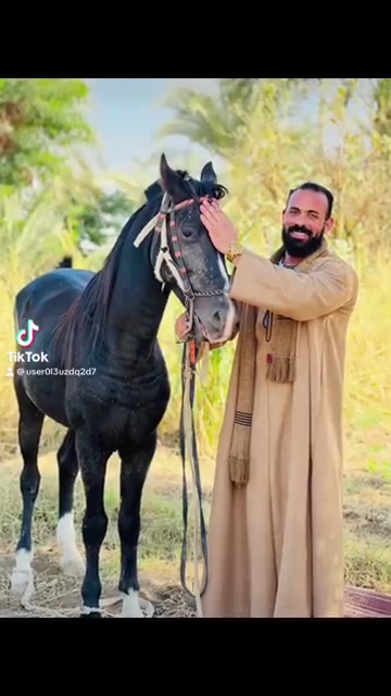 @الكابتن ضياء في الإمارات🇦🇪